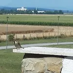 Eliza 1 Birdland Golf Bük