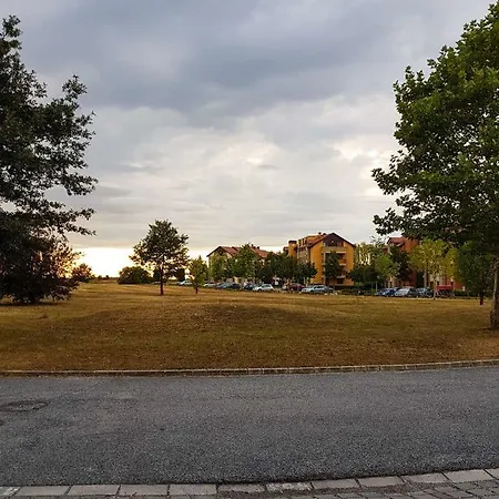 Eliza 1 Birdland Golf *